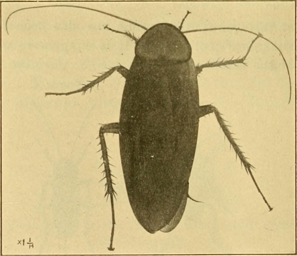 14596498018_46ace8601d_o