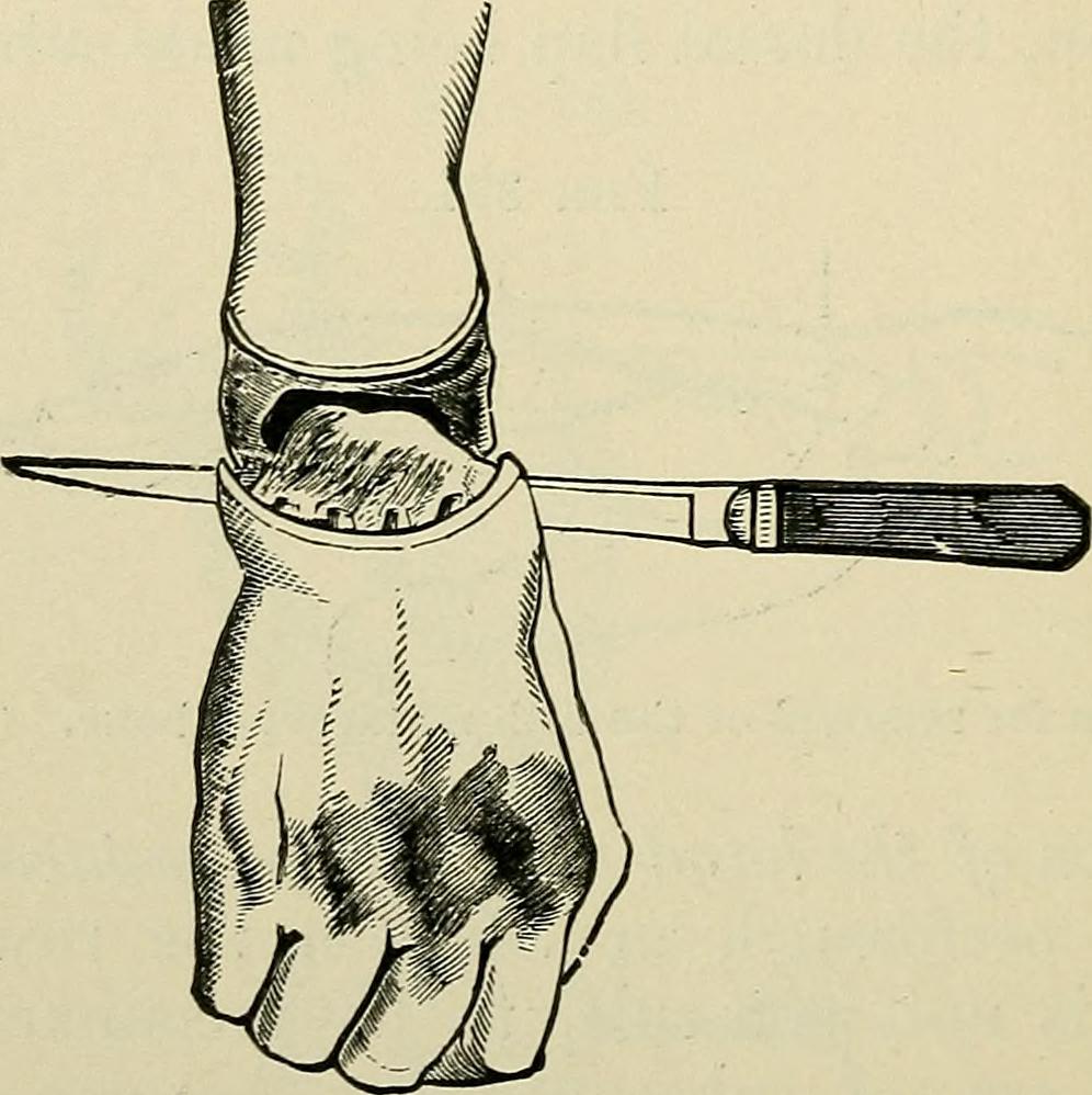 14598207170_551e6dd1ea_o