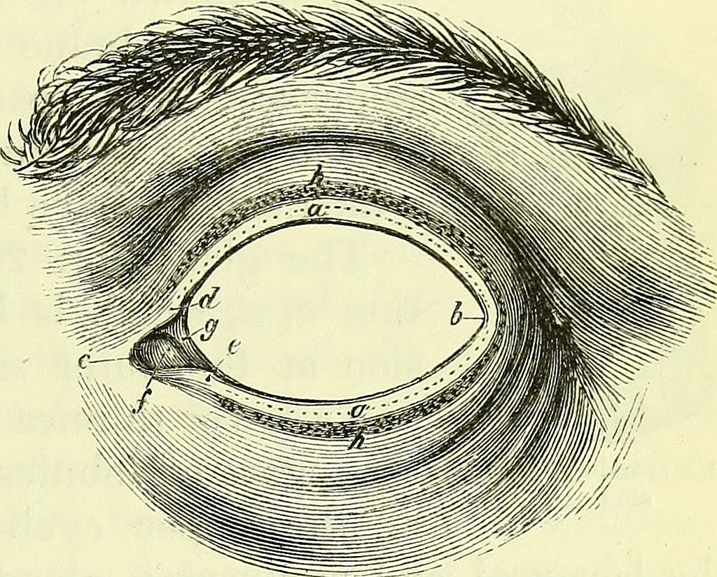 14750503292_773148dccd_b