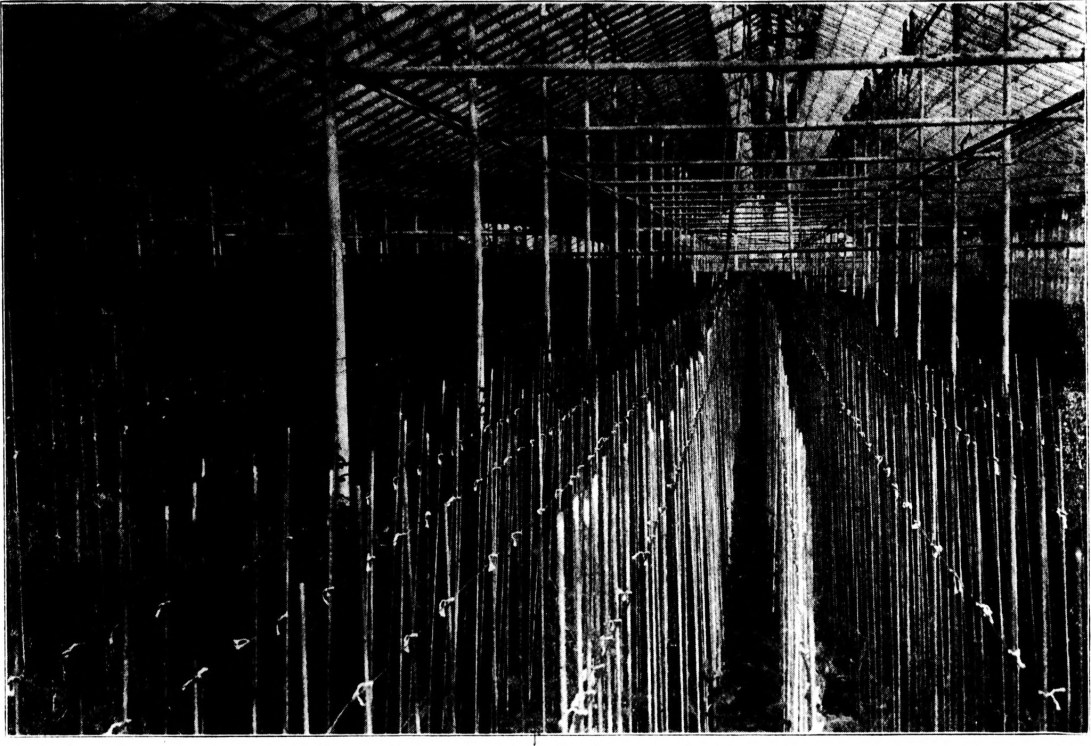 16087698173_0d4cd15456_k