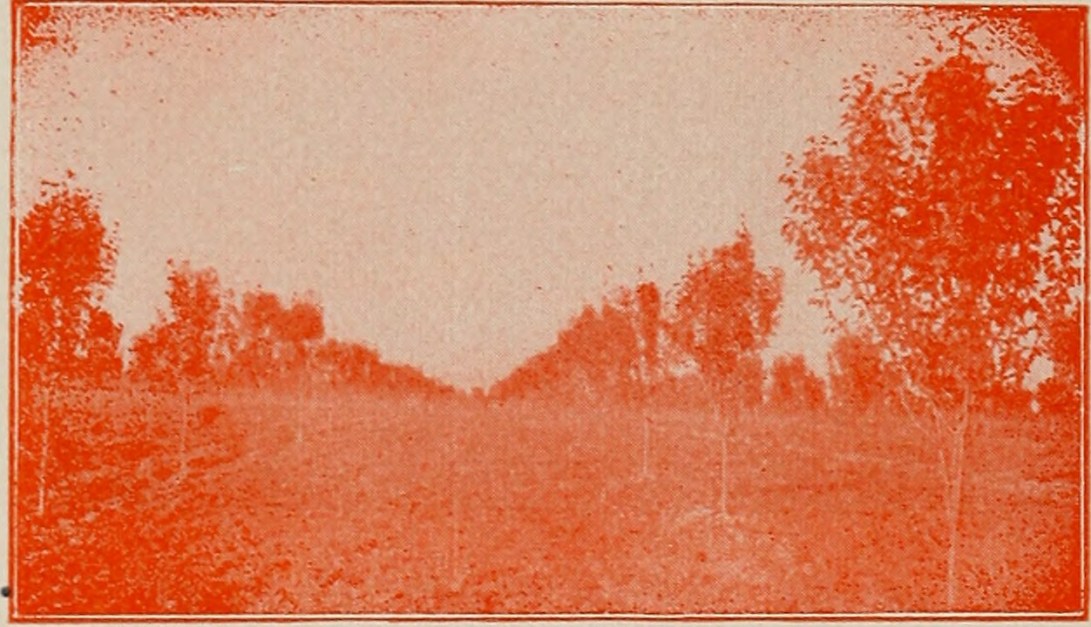 20363719008_347ef60e71_o