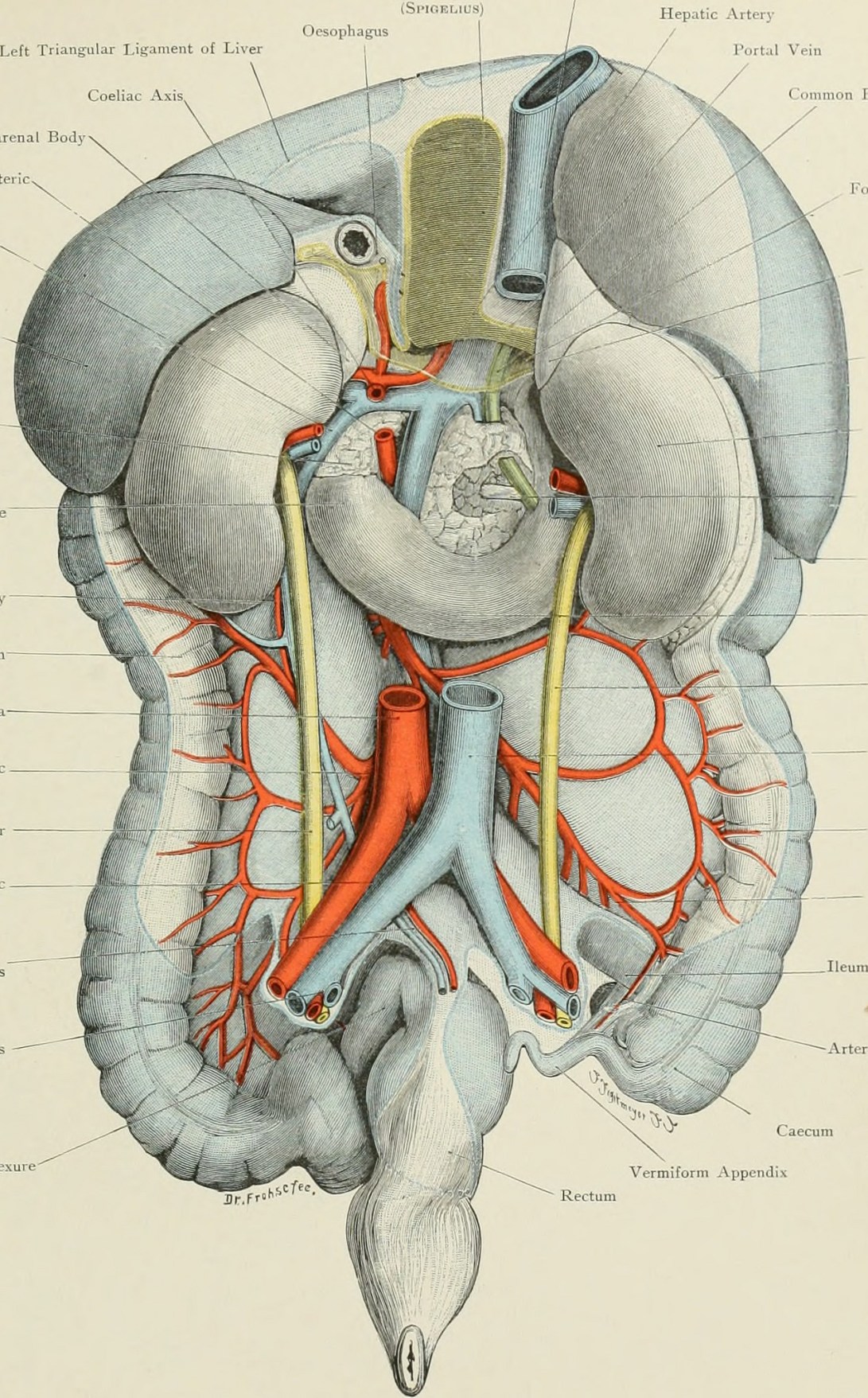 20318245016_21affeefcd_k